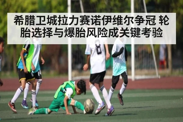 希腊卫城拉力赛诺伊维尔争冠 轮胎选择与爆胎风险成关键考验